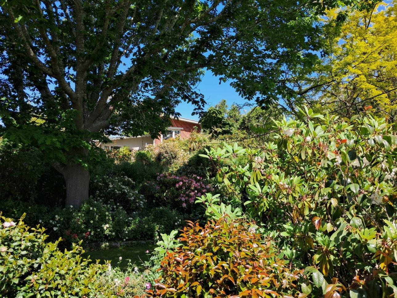 Waimate Niloc Bed & Breakfast エクステリア 写真